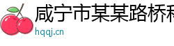 咸宁市某某路桥科技运营部